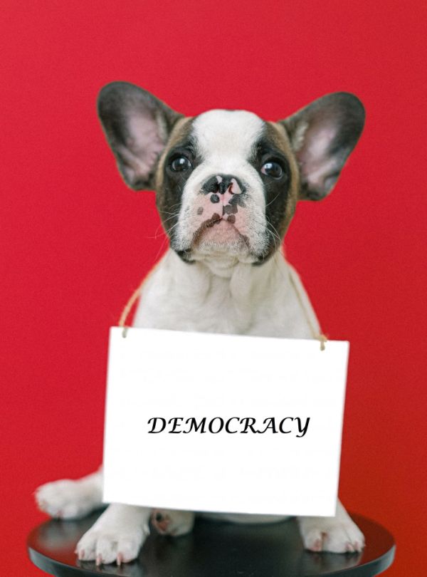 Demokrácia